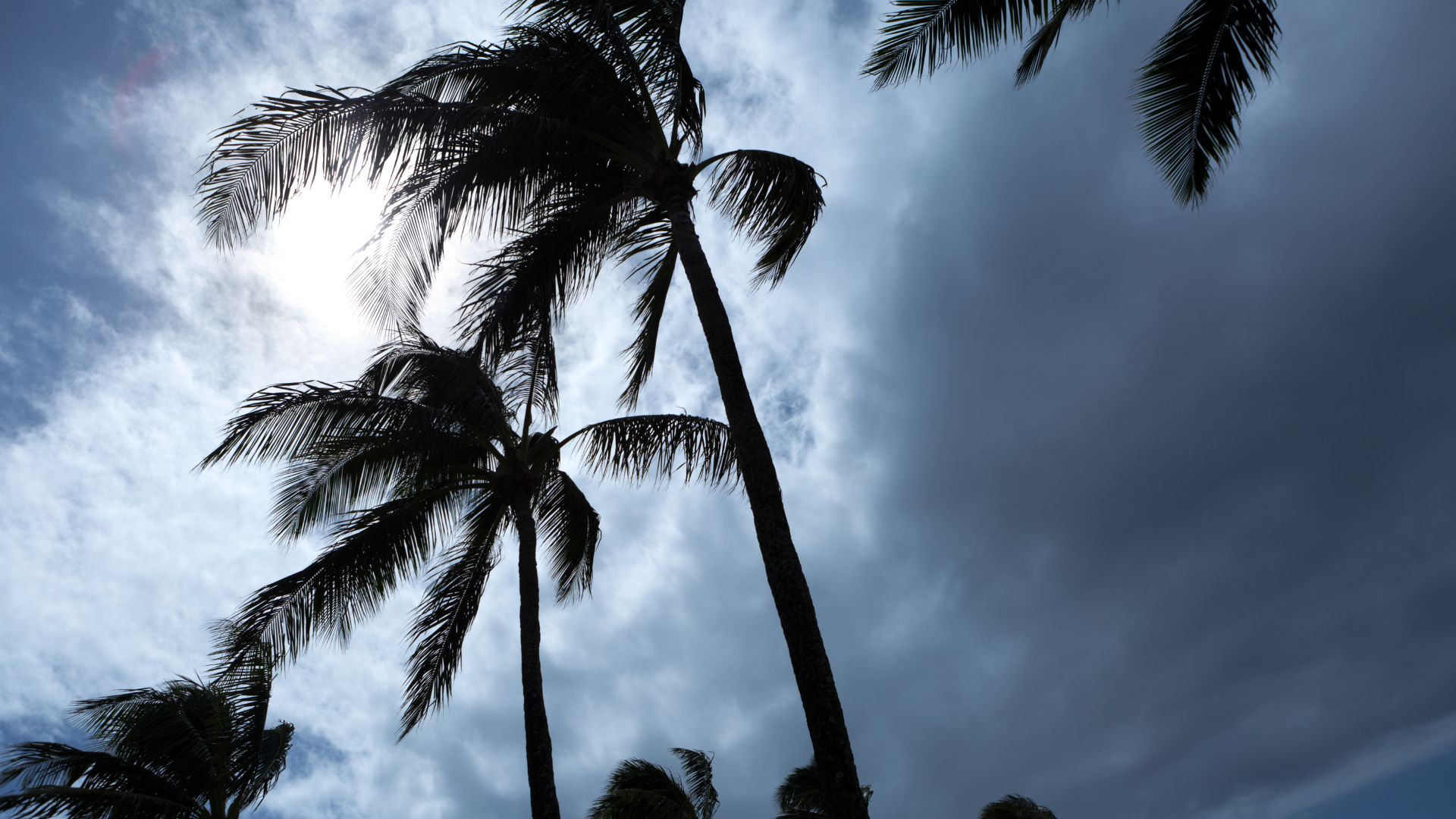 hurricane prep in Bradenton florida